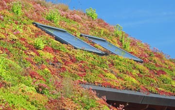 Hampton Bishop living roof systems