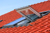 Hampton Bishop roof window